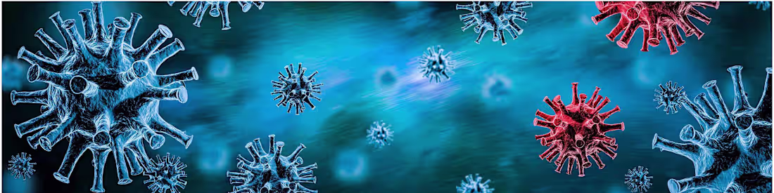 Cover image for Crisis Creates Change How COVID-19 Has Impacted International A…