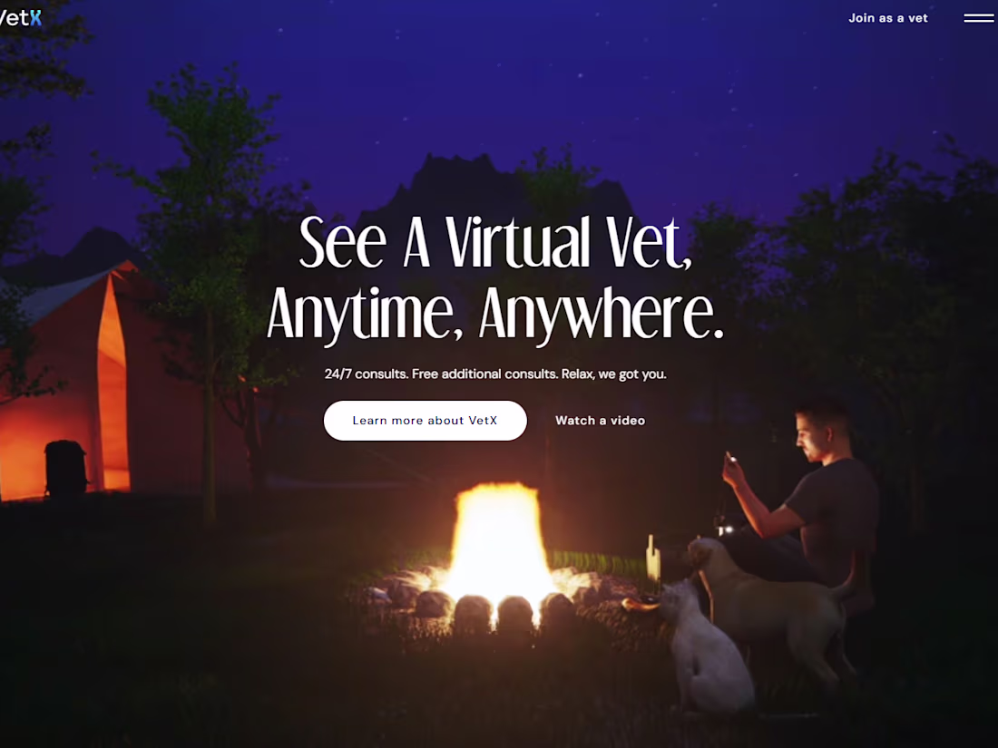 Cover image for Vetx