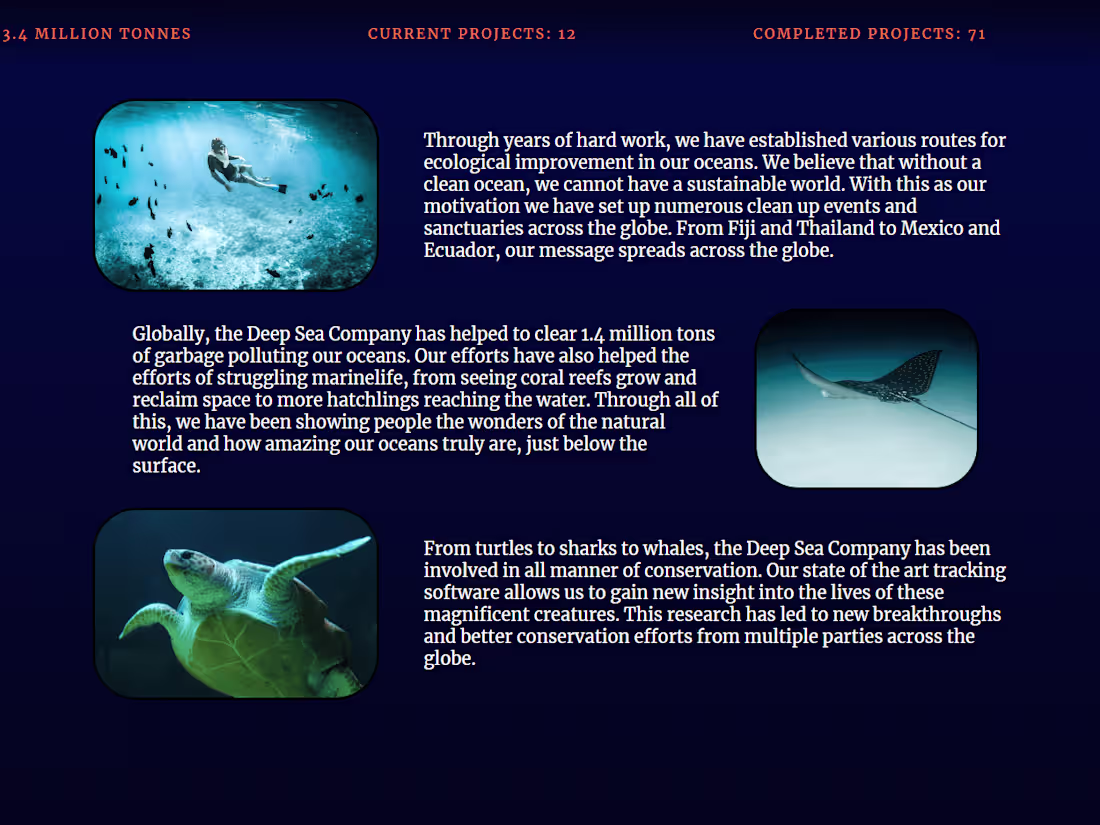 Cover image for Website Redesign and Revamp