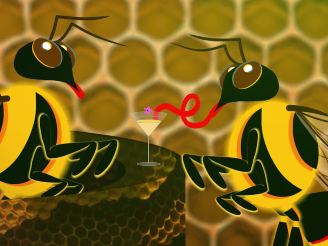 Cover image for Honey Bee Nite Club