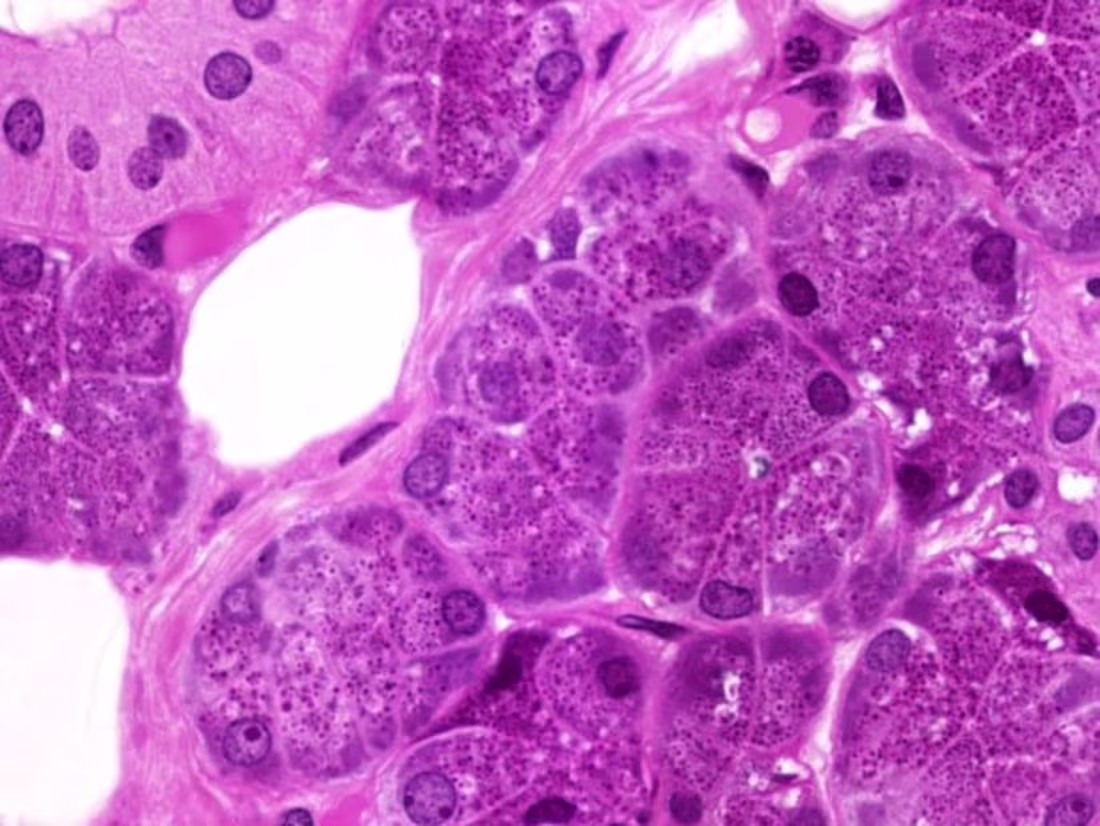 Cover image for Píldoras Clínicas