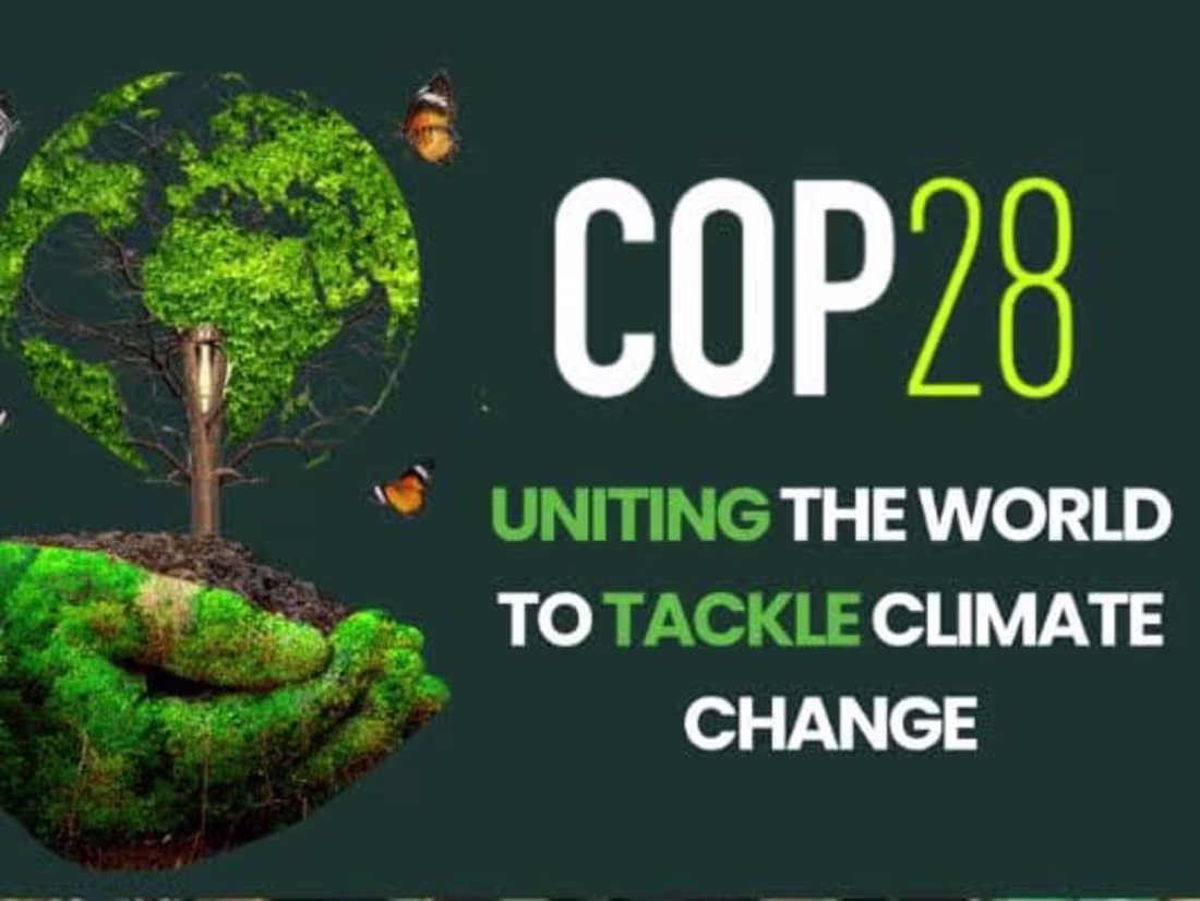 Cover image for Blog