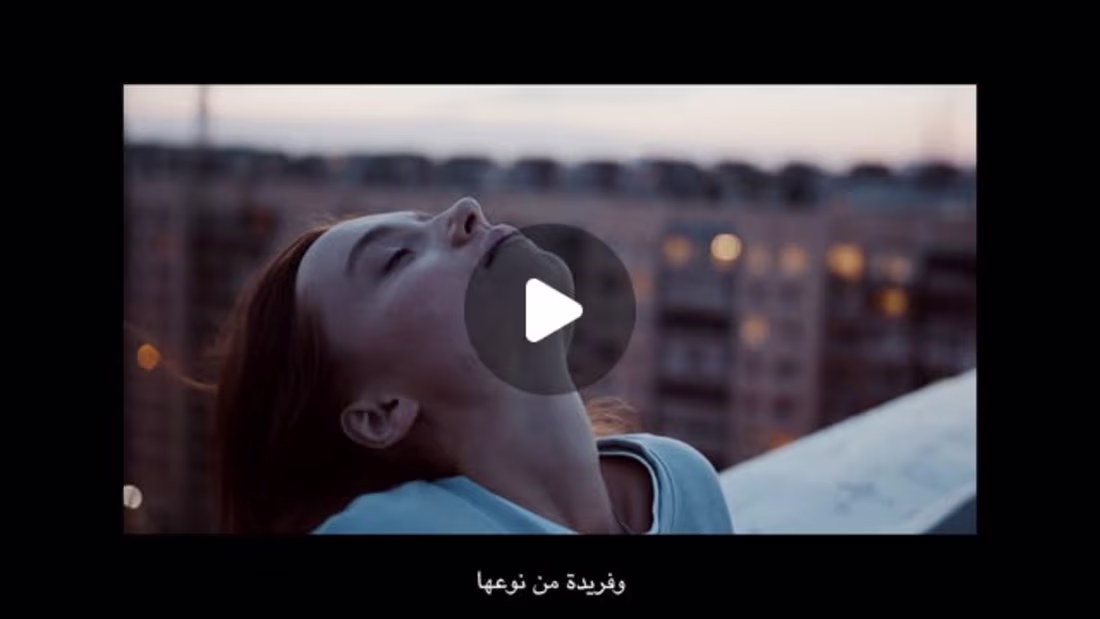 Cover image for The Line Mall Promotion