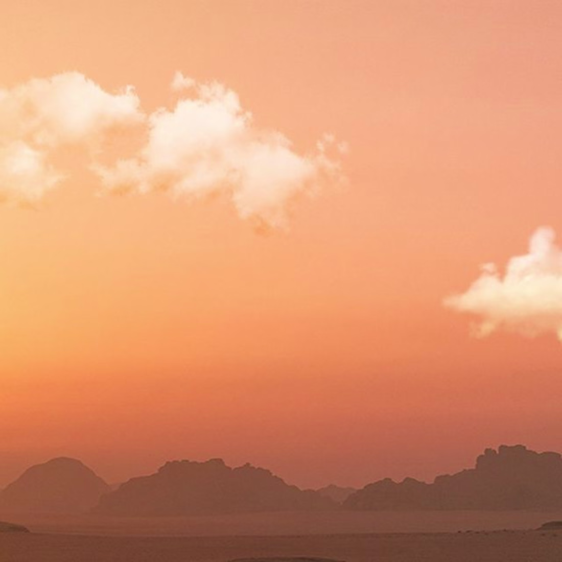 Cover image for @coll.ectiveproject on Instagram: “album cover for gins&melodie…