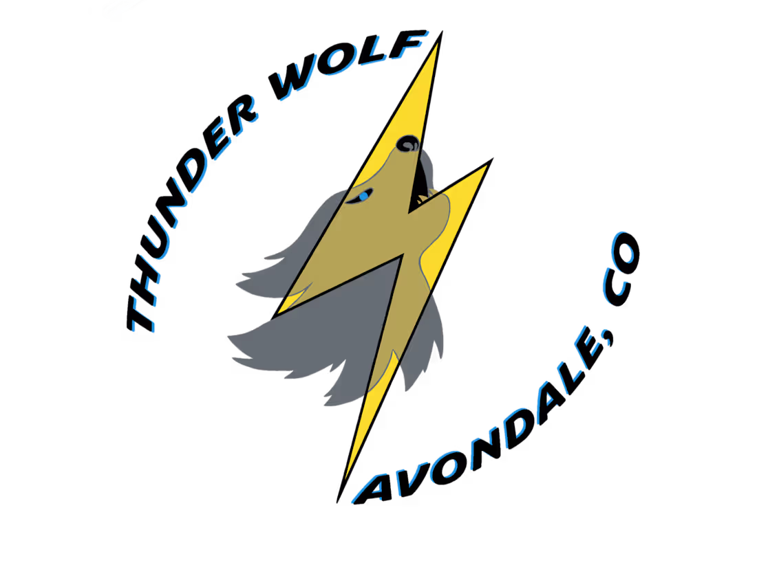 Cover image for Thunderwolf Logo Design
