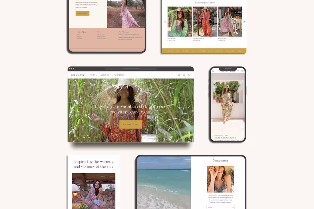 Cover image for Valery Vain