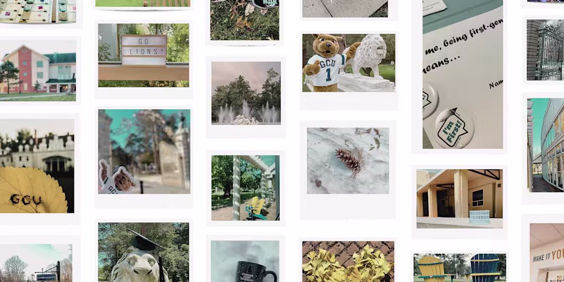 Cover image for Social Media Management