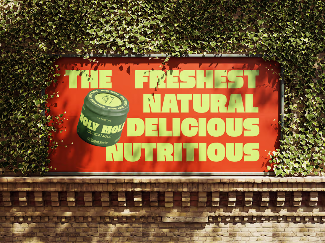 Cover image for Holy Mole guacamole