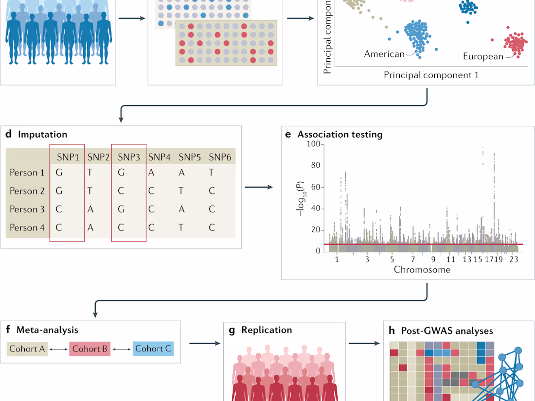 Cover image for Genetic Analysis for Trait Association in Human DNA