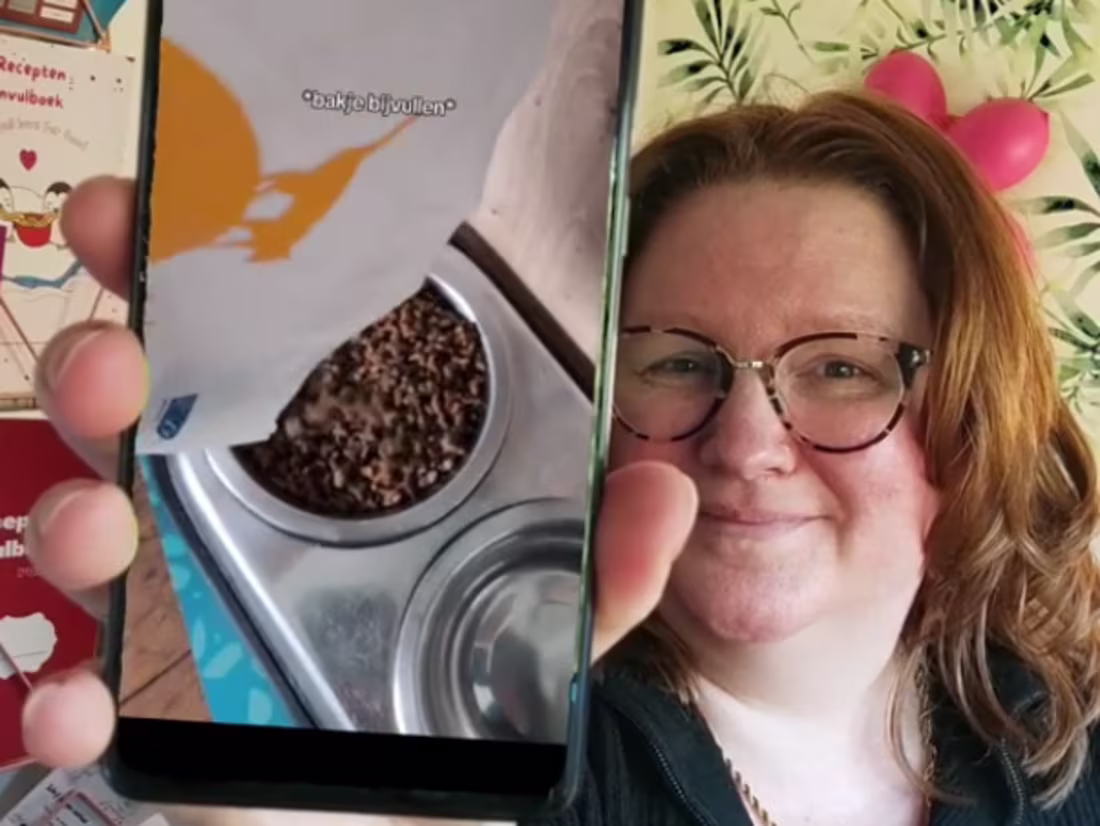 Cover image for Example UGC cat food