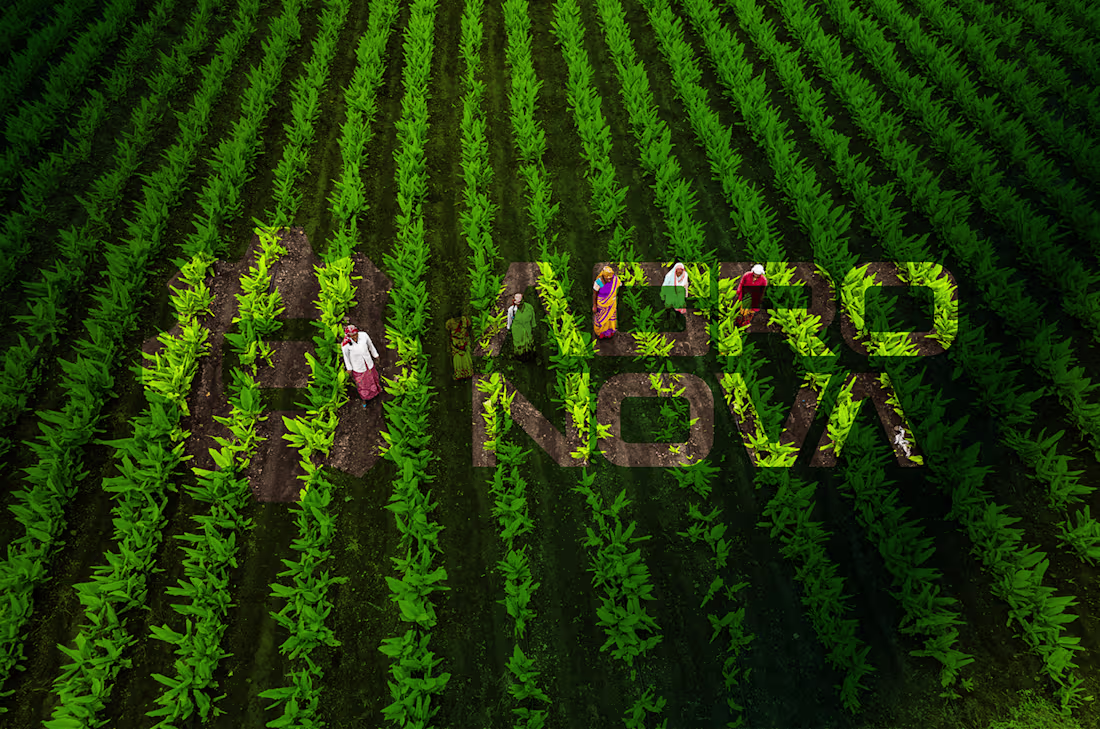 Cover image for Agronova Brand Identity