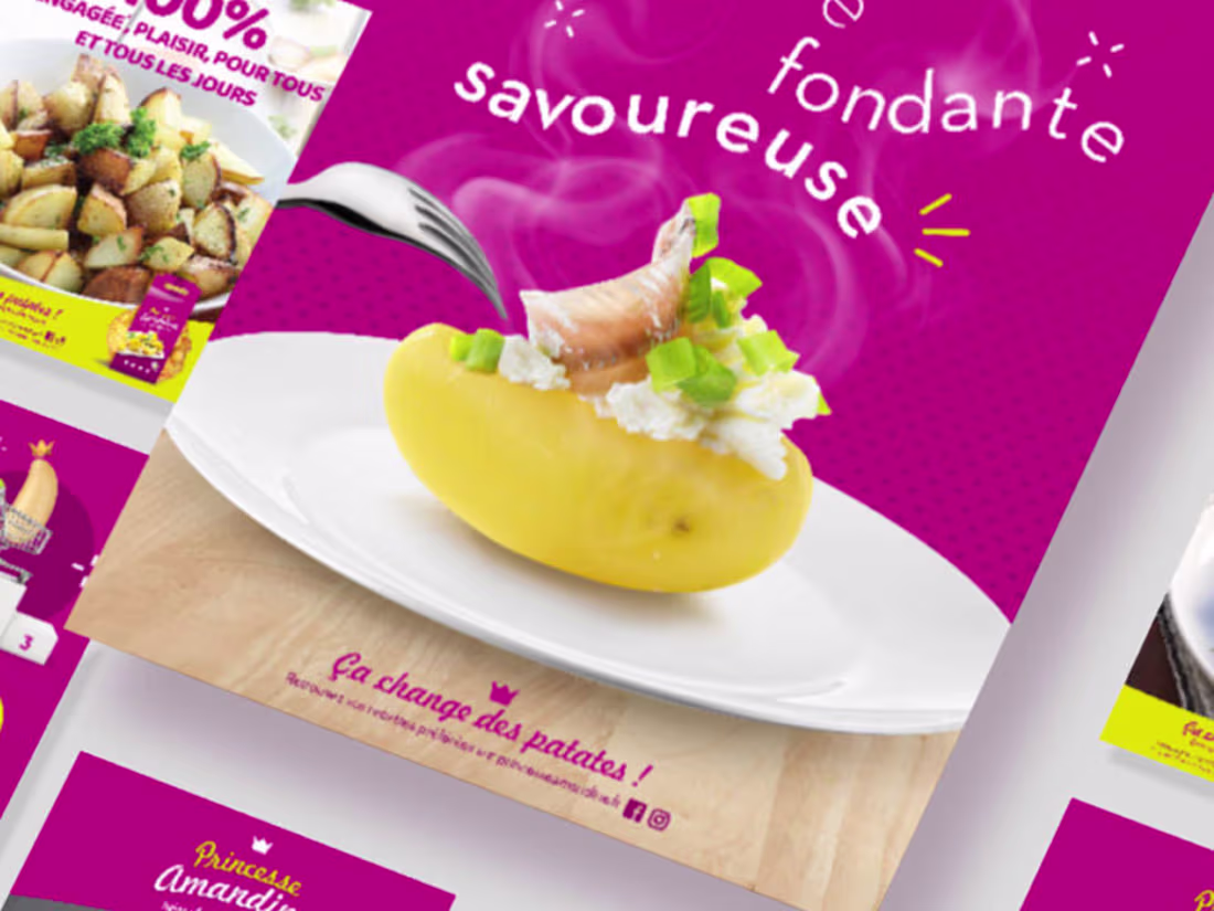 Cover image for Princesse amandine