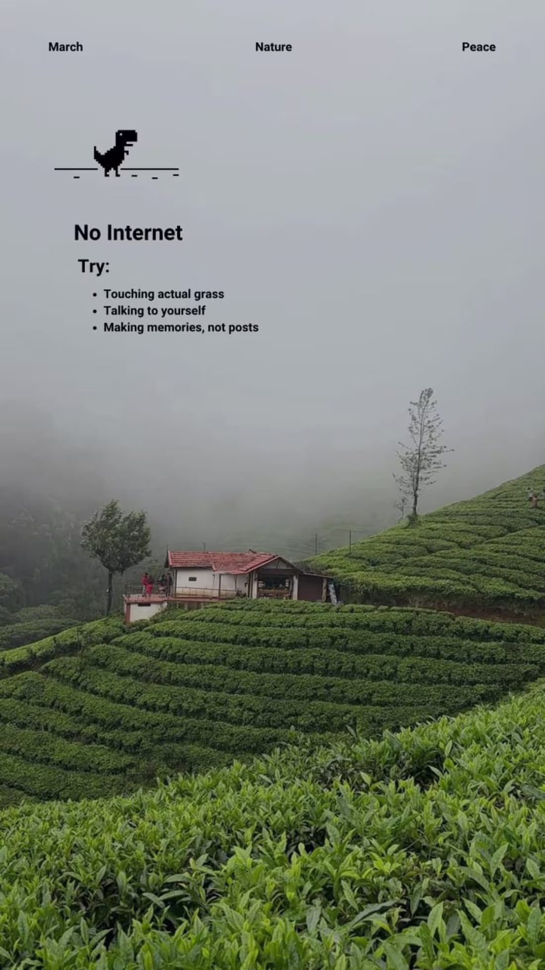 Cover image for A calm, nature-inspired visual I’m