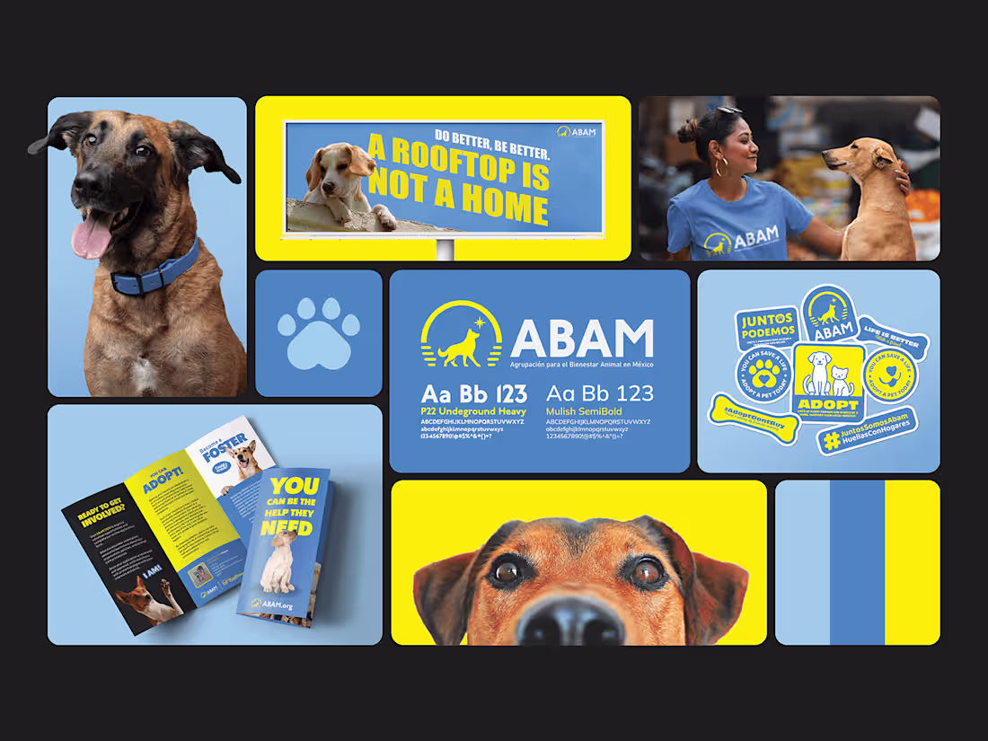 Cover image for Brand Identity Design Package