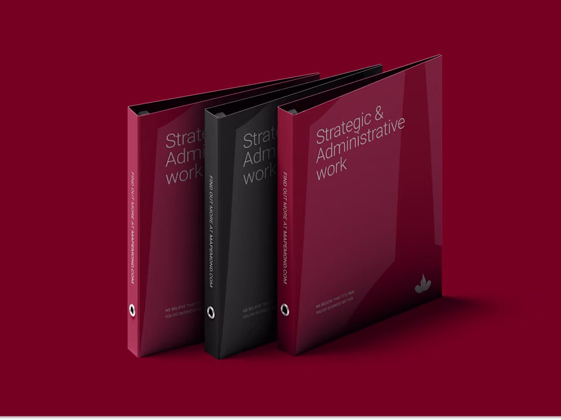 Cover image for Mapemond Limited: Logo and Visual Experience Identity Design