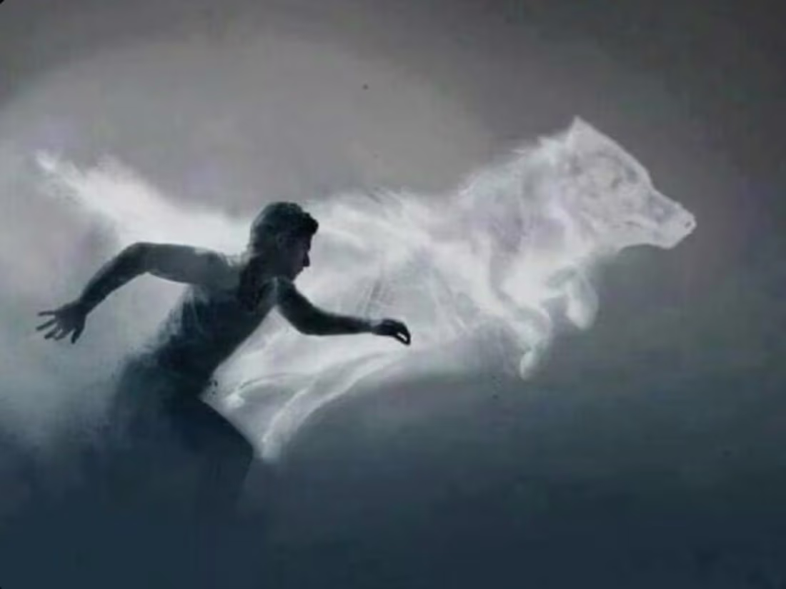 Cover image for Creative Writing Sample