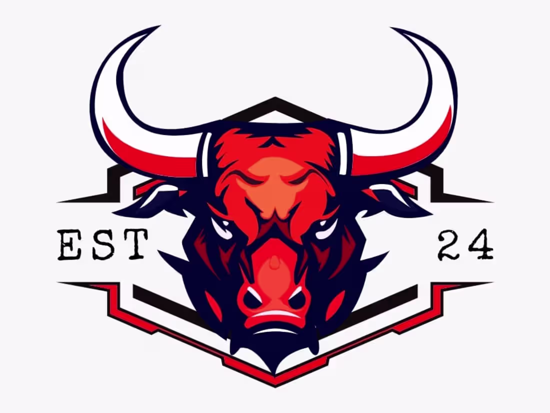 Cover image for Professional Logo Design