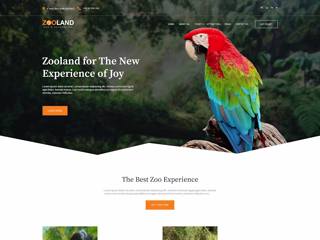 Cover image for Zoo Website