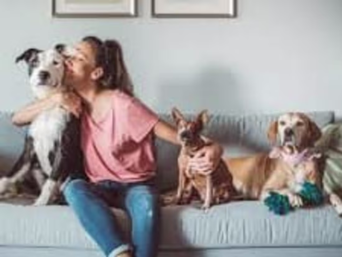 Cover image for Elle Belle Pet Sitting