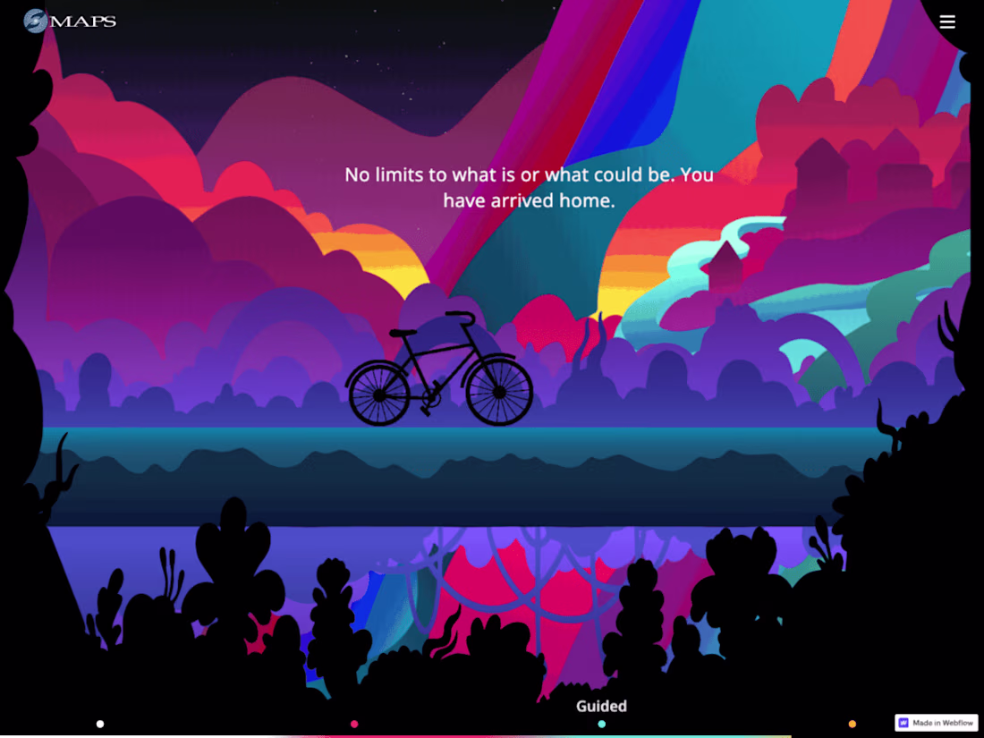 Cover image for MAPS Bicycle Night