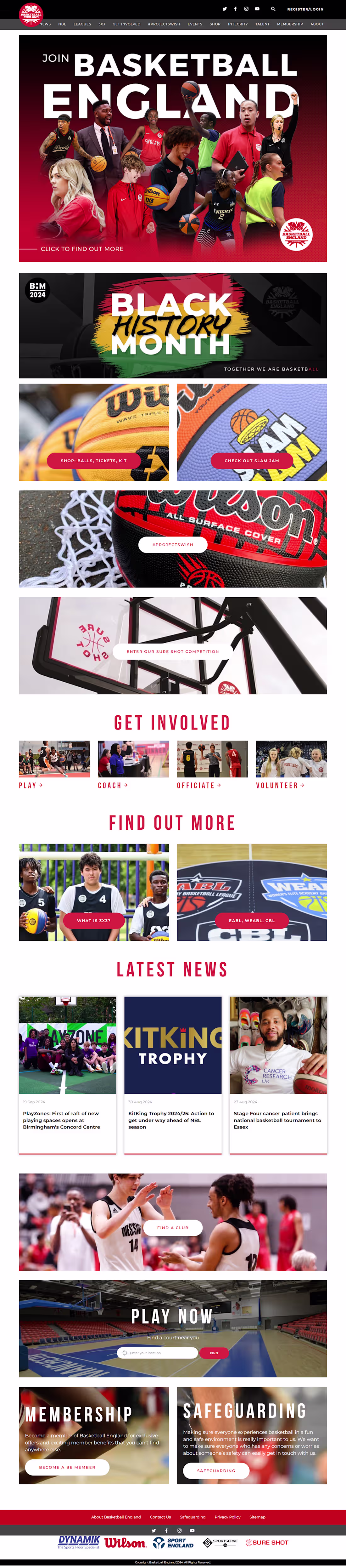 Cover image for WordPress Website Design
