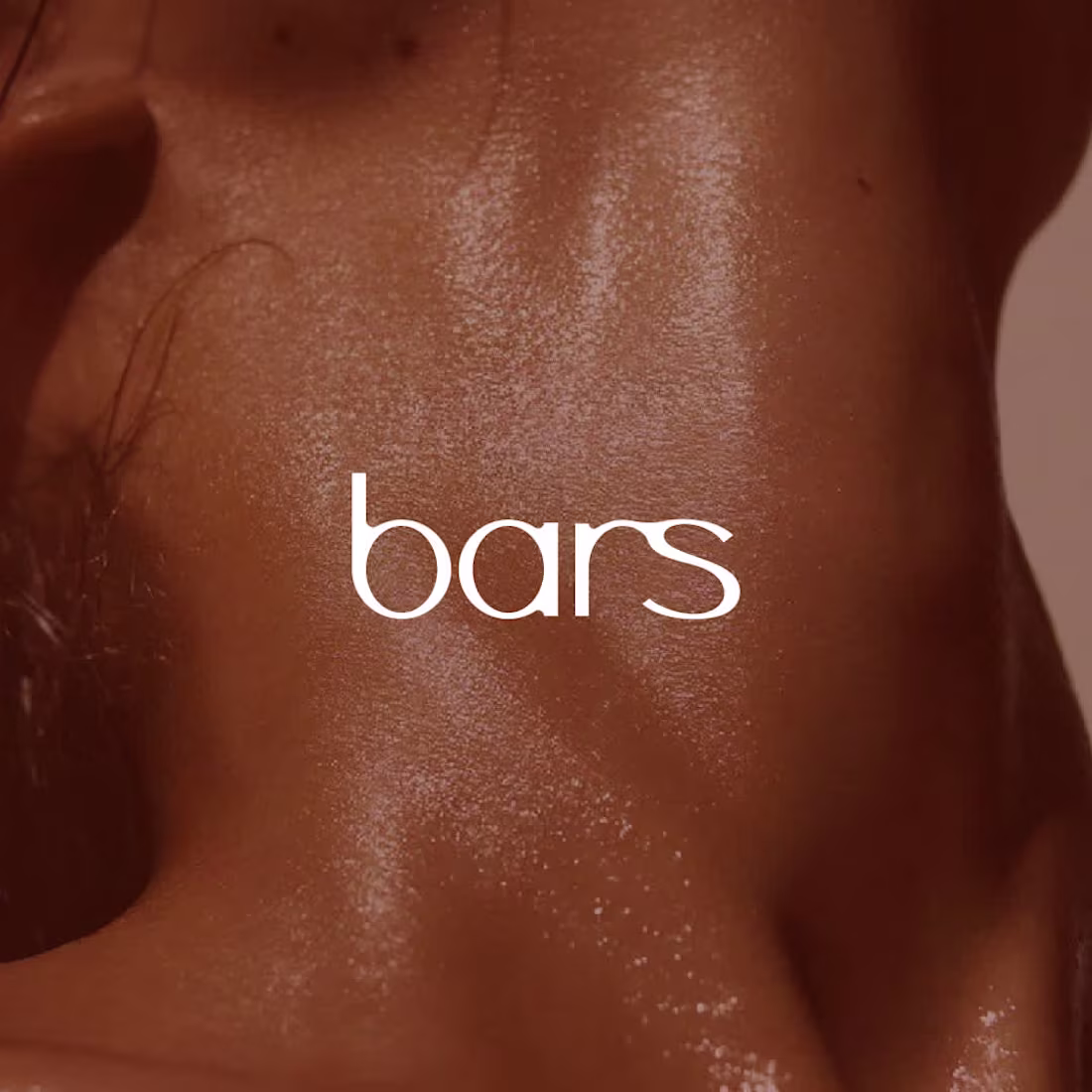 Cover image for Bars