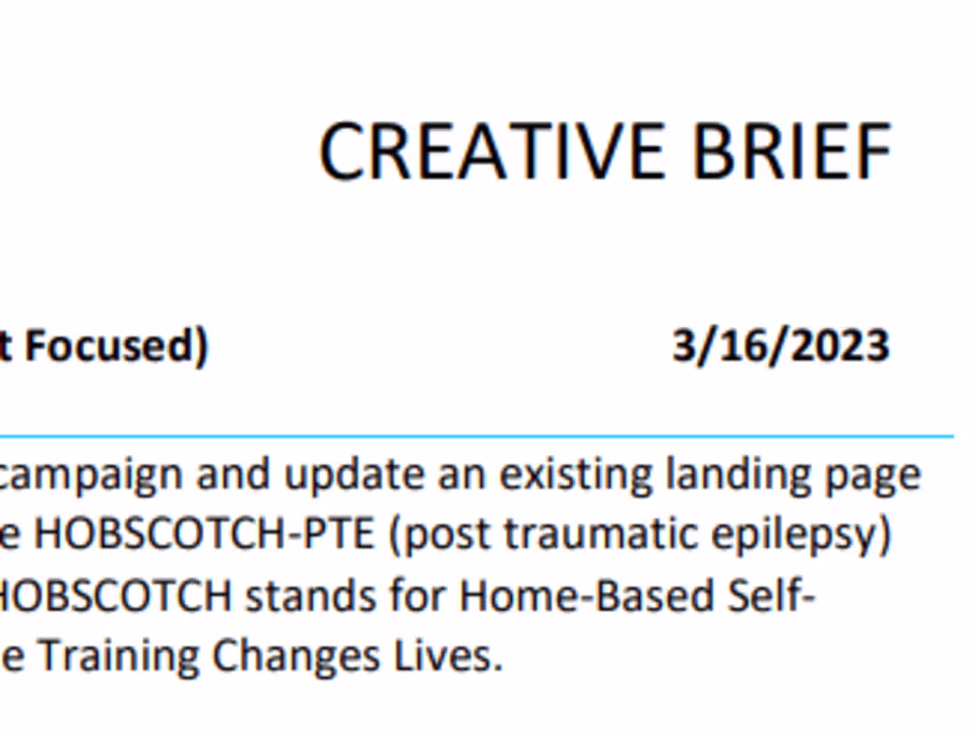 Cover image for CREATIVE BRIEF