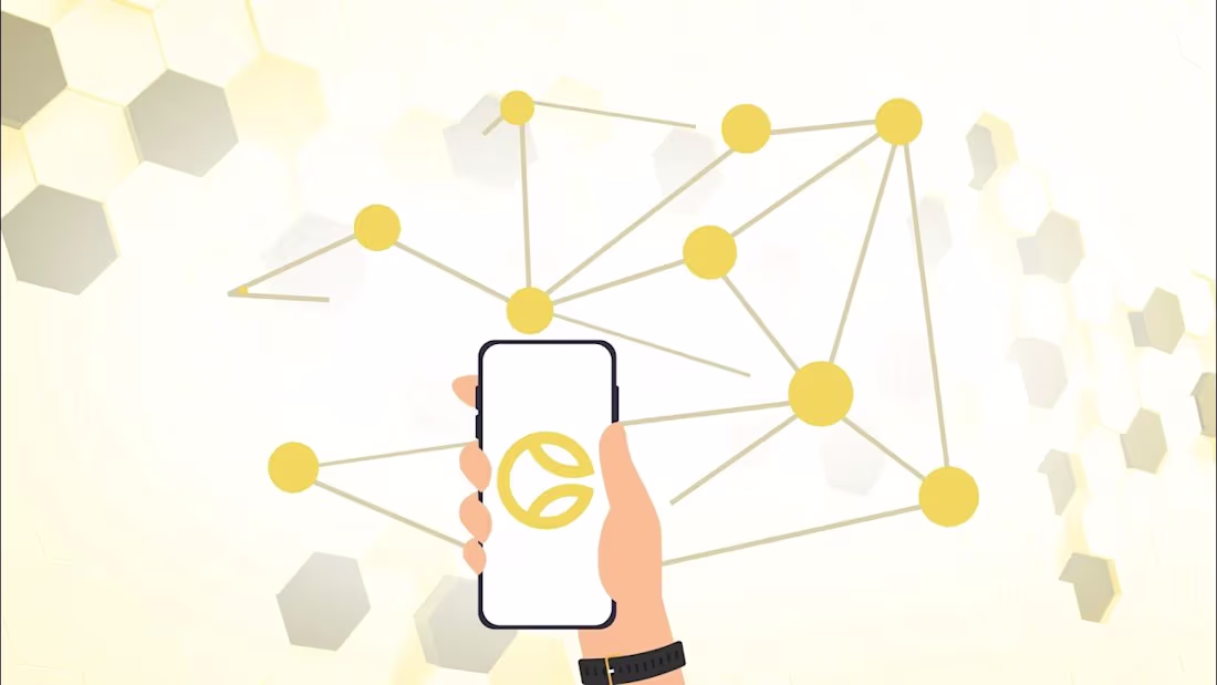 Cover image for System Drives Success | Clap4u