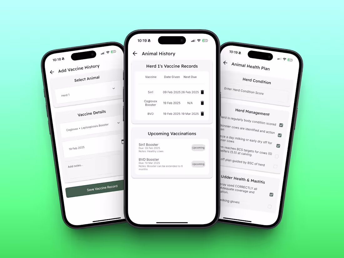 Cover image for Bovimind - AgTech