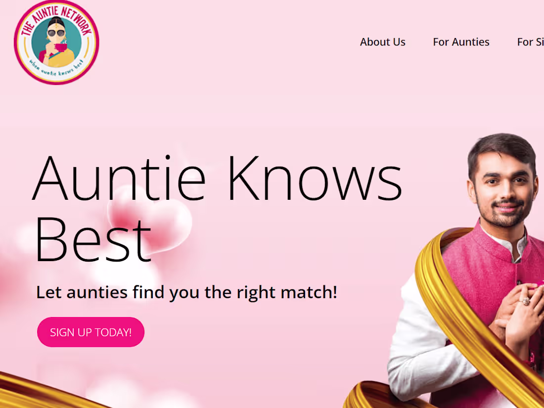 Cover image for The Auntie Network