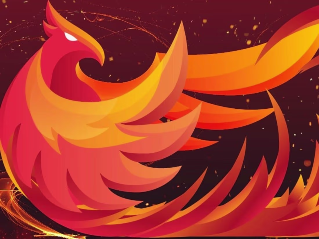 Cover image for Custom Web Development