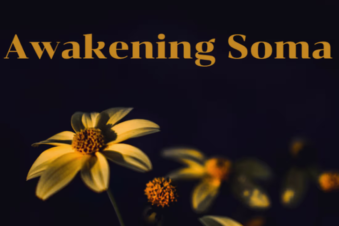 Cover image for Awakening Soma