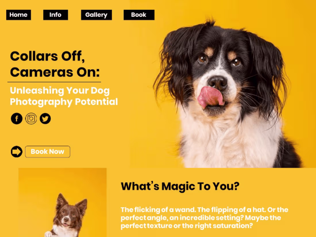 Cover image for Home Page Copy for a Dog Photography Business