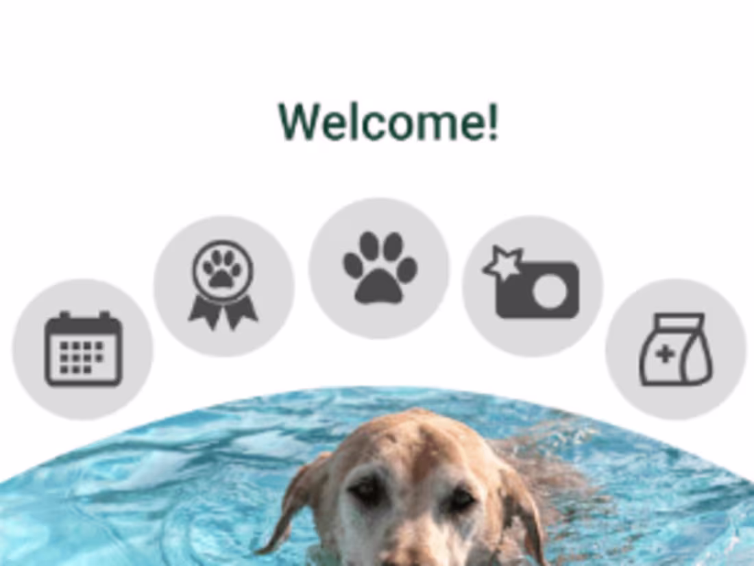 Cover image for Vet2Pet - App