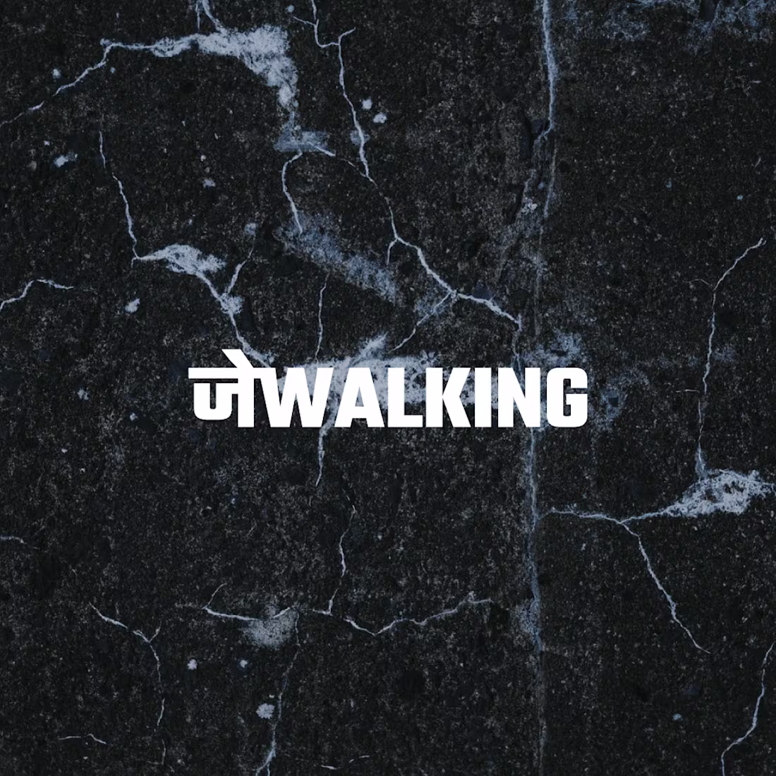 Cover image for Jaywalking