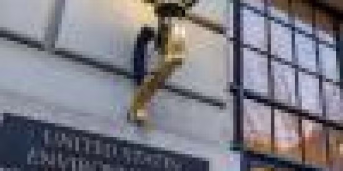 Cover image for EPA Launches Their New Office: What Does the Office of Environm…