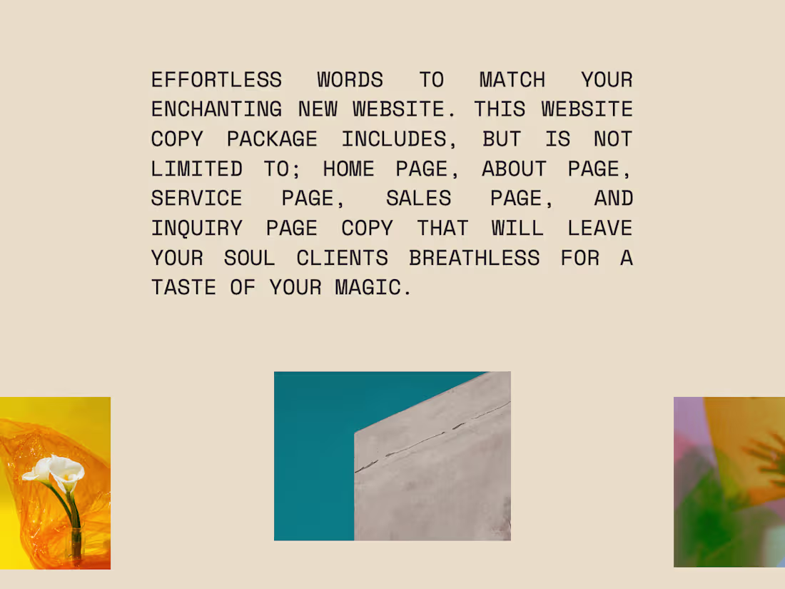 Cover image for Website Copy for House-Hold Brands in the Making