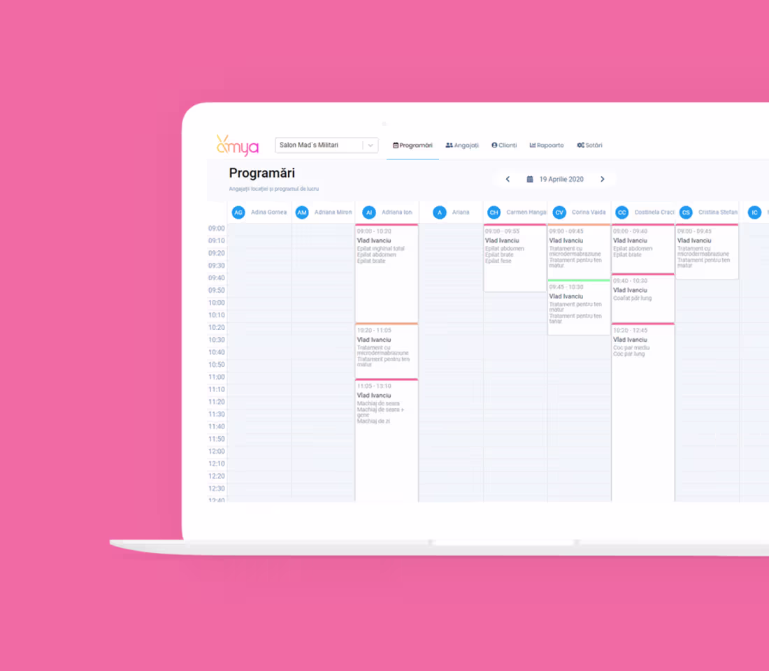 Cover image for Amya