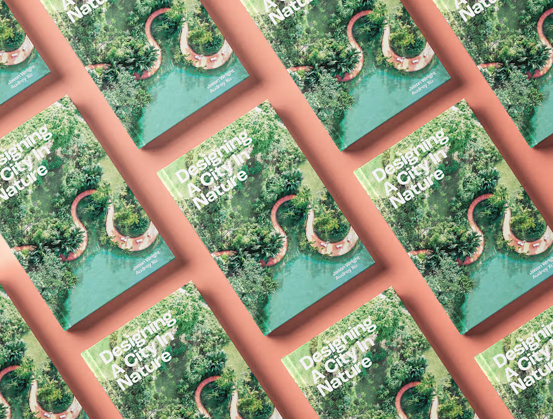 Cover image for Designing A City in Nature