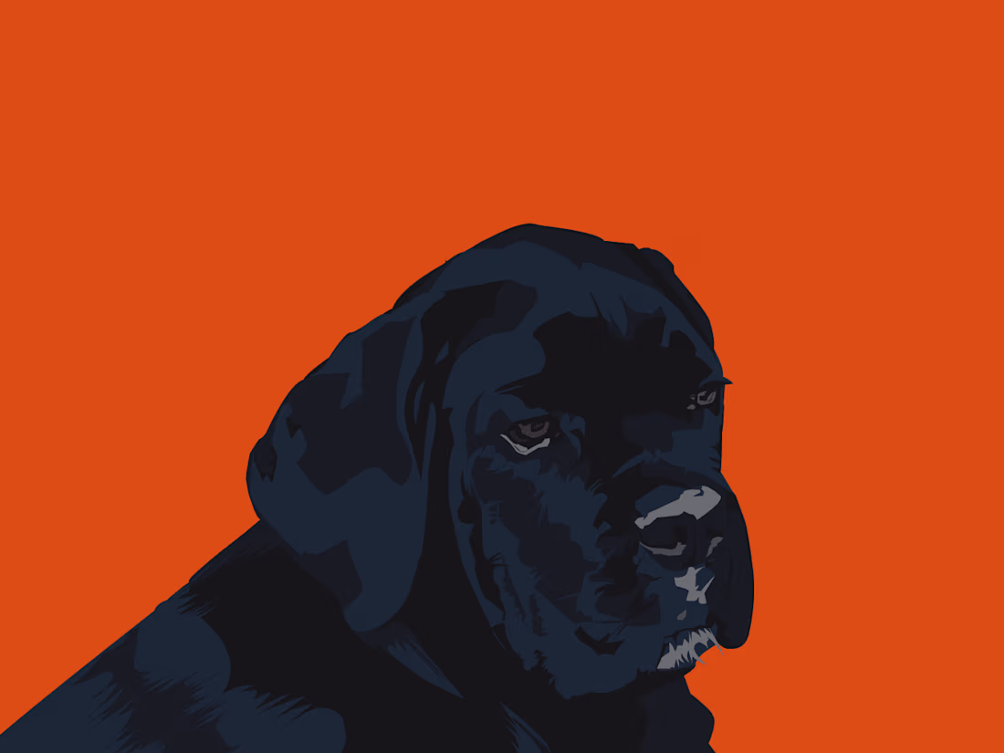 Cover image for Dog Illustration