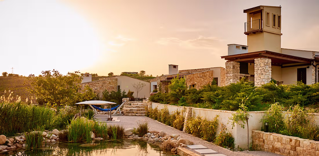 Cover image for Zornitza family estate