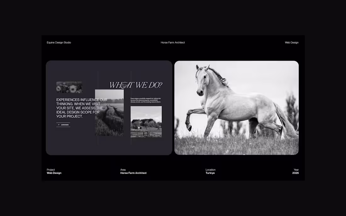 Cover image for Equine