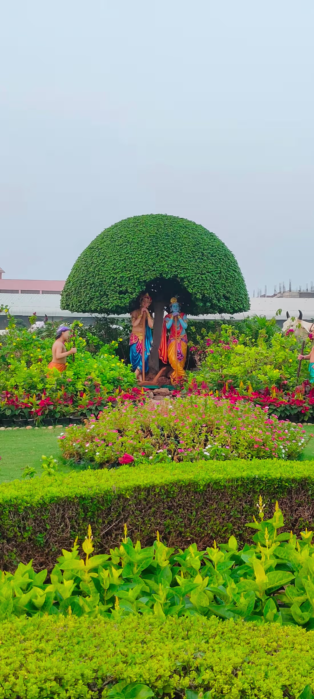 Cover image for Video Editing|Photo Editing 