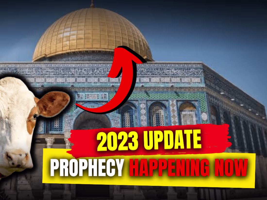 Cover image for Video and Reels Editing