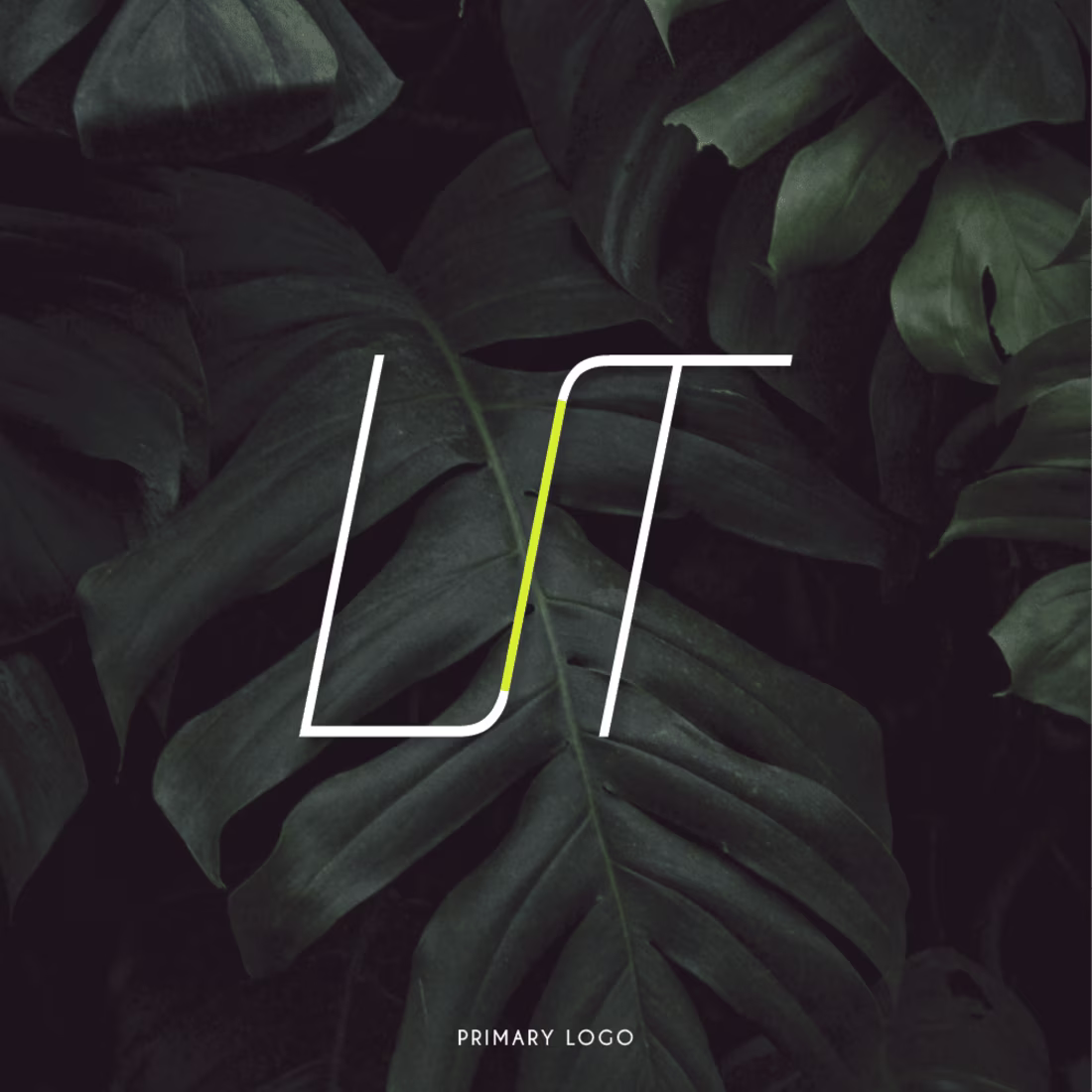 Cover image for Custom Logo Design for a Tech Startup "LIT"