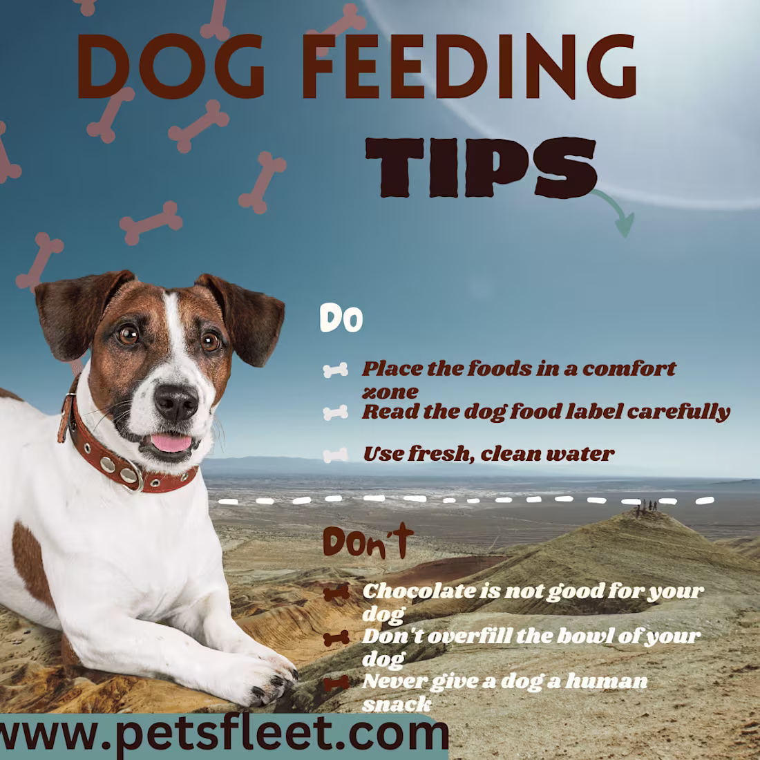 Cover image for modren infographics design