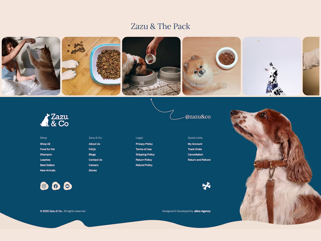 Cover image for Do users really care about