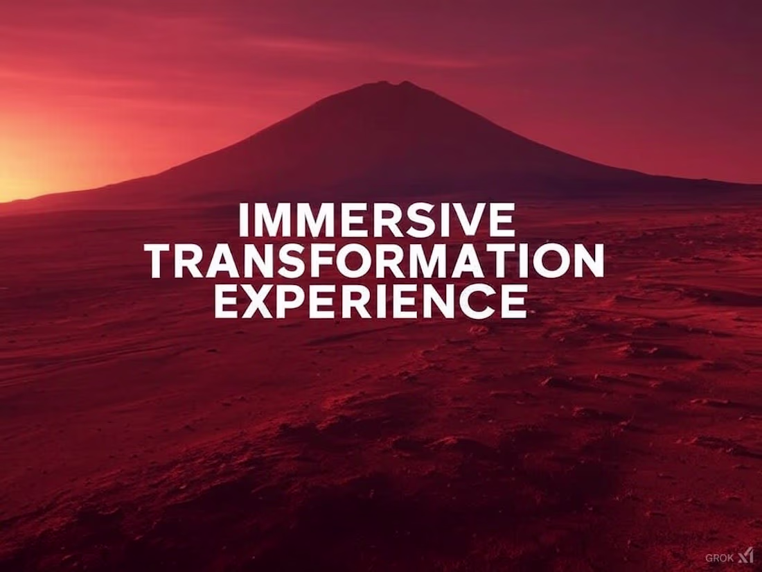 Cover image for IMMERSIVE TRANSFORMATION EXPERIENCE