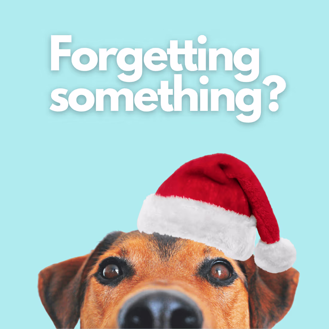 Cover image for Simparica Trio - Christmas Social Media Ad