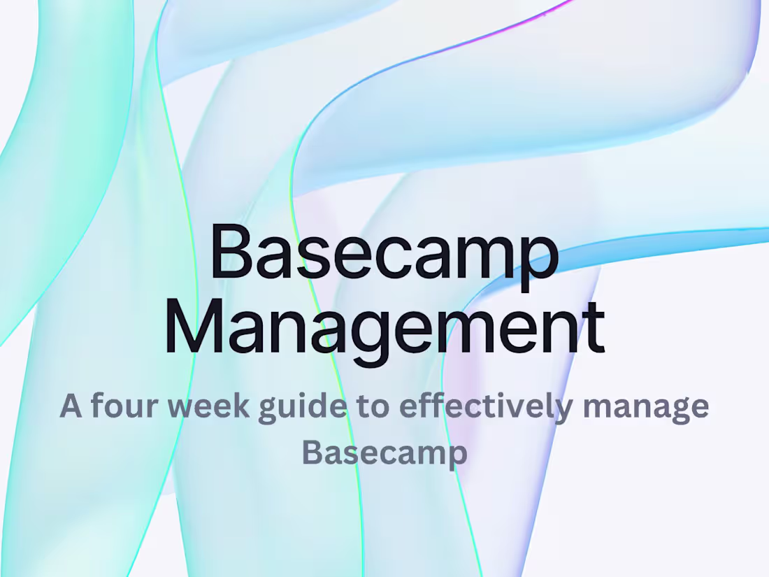 Cover image for Project Management Services